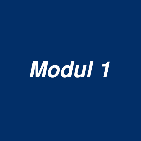 Modul 1 Motortandhjul