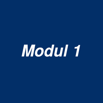 Modul 1 Motortandhjul