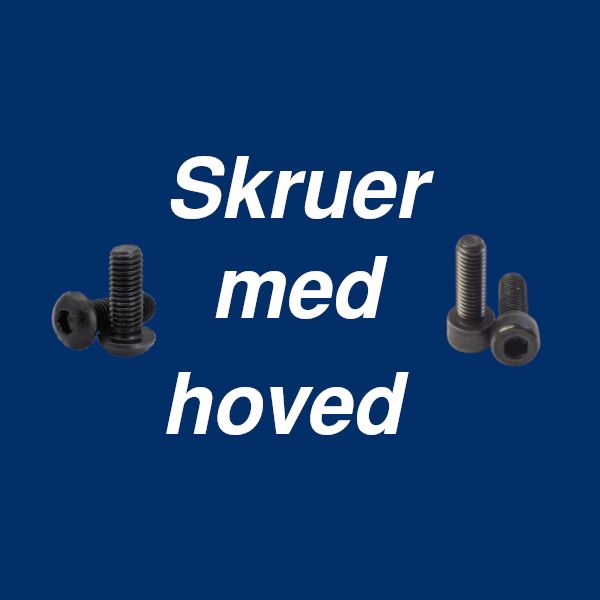Skruer med hoved