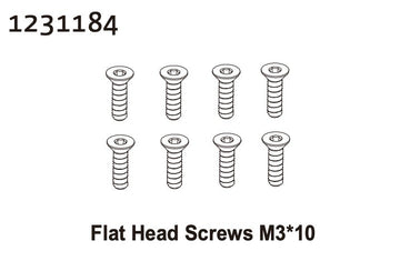 Flat Head Screw M3*10 (8)